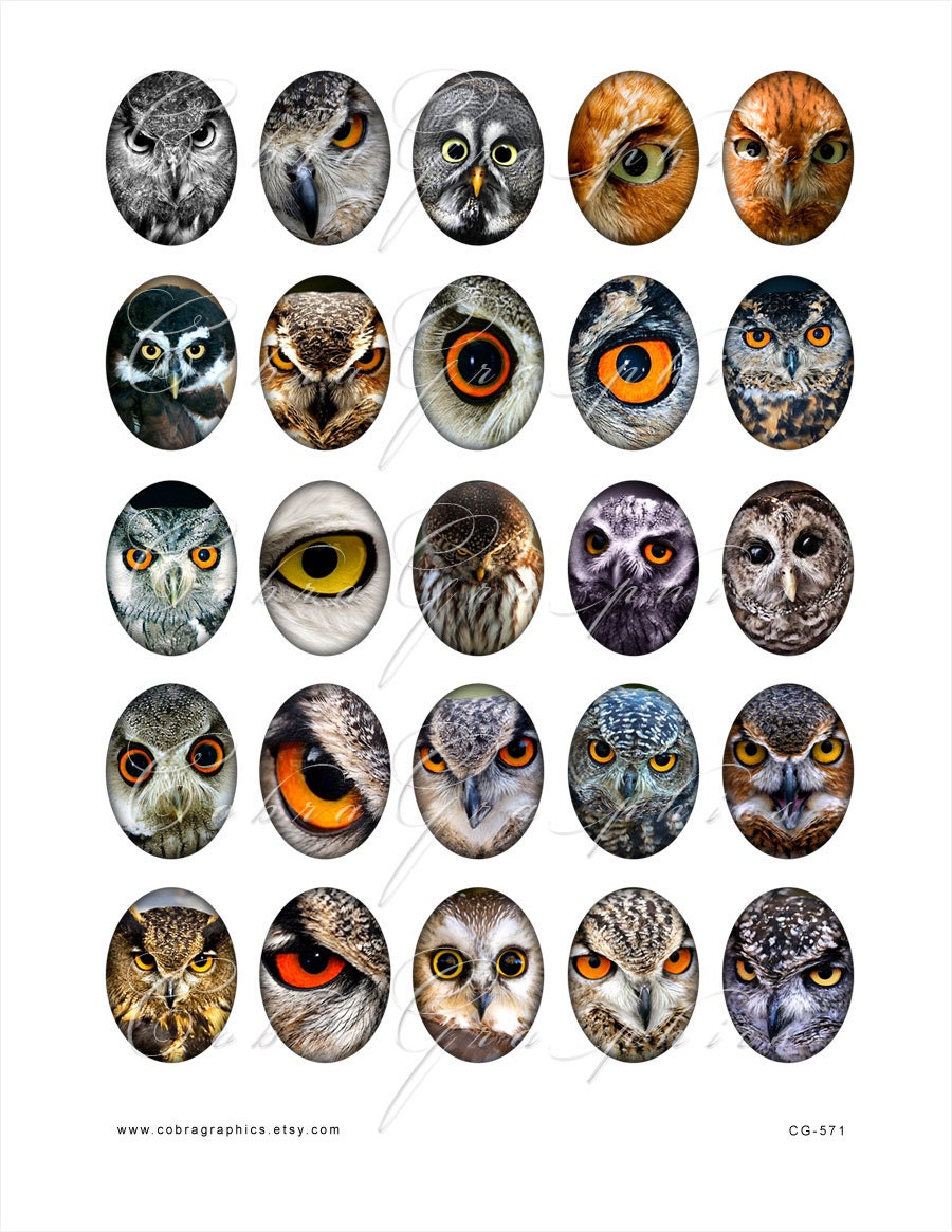 Owls - 2 Digital Collage Sheets CG-571 - for Scrapbooking, Resin and Glass Pendants