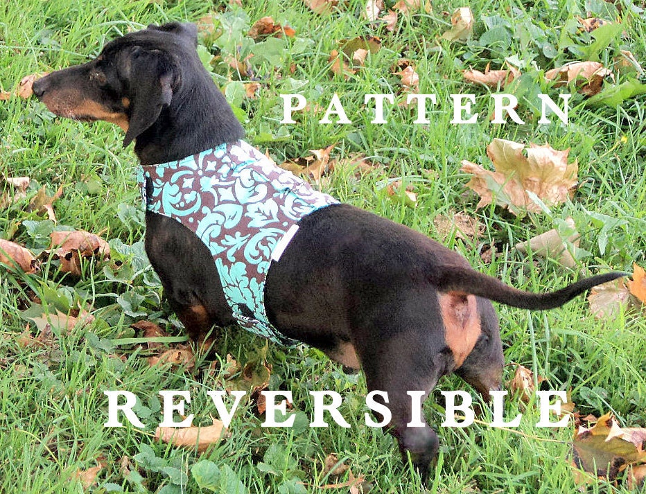 Small dog pattern harness vest leash instructions too handmade pets clothing DIY