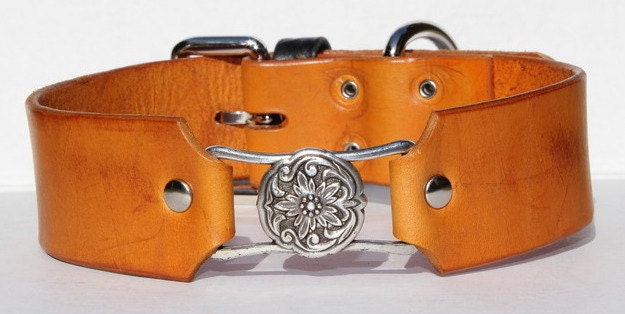 Margot Collar