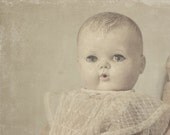 Still life photography, antique vintage doll 8x10 photograph