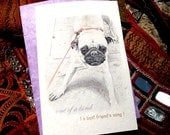 one of a kind ( a best friend's song ) dog love