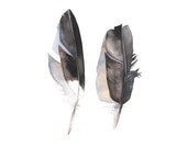 Feathers watercolor painting F080 print of watercolor painting bird nature