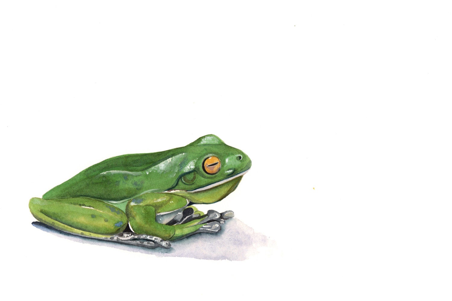 Frog painting - F070- print of watercolor painting A4 print