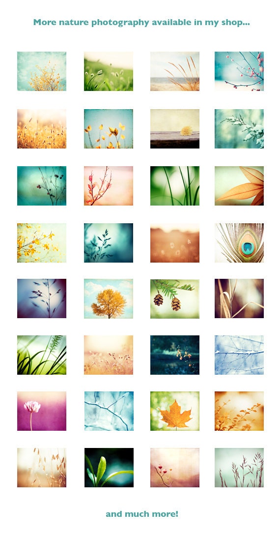 Nature Photography - green blue navy teal - botanical art prints - leaf leaves photos fine art prints - 8x10 Photograph, "Designer Leaves"
