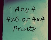 Any 4 4x6 or 4x4 photographs- custom order, print sets, dreamy photography, nature, floral photography, fine art photograph