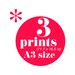 SALE Set of 3 screen prints A3 size you choose