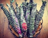 Wild Harvested Aromatherapy Sage Bundles with 10 Ingredients