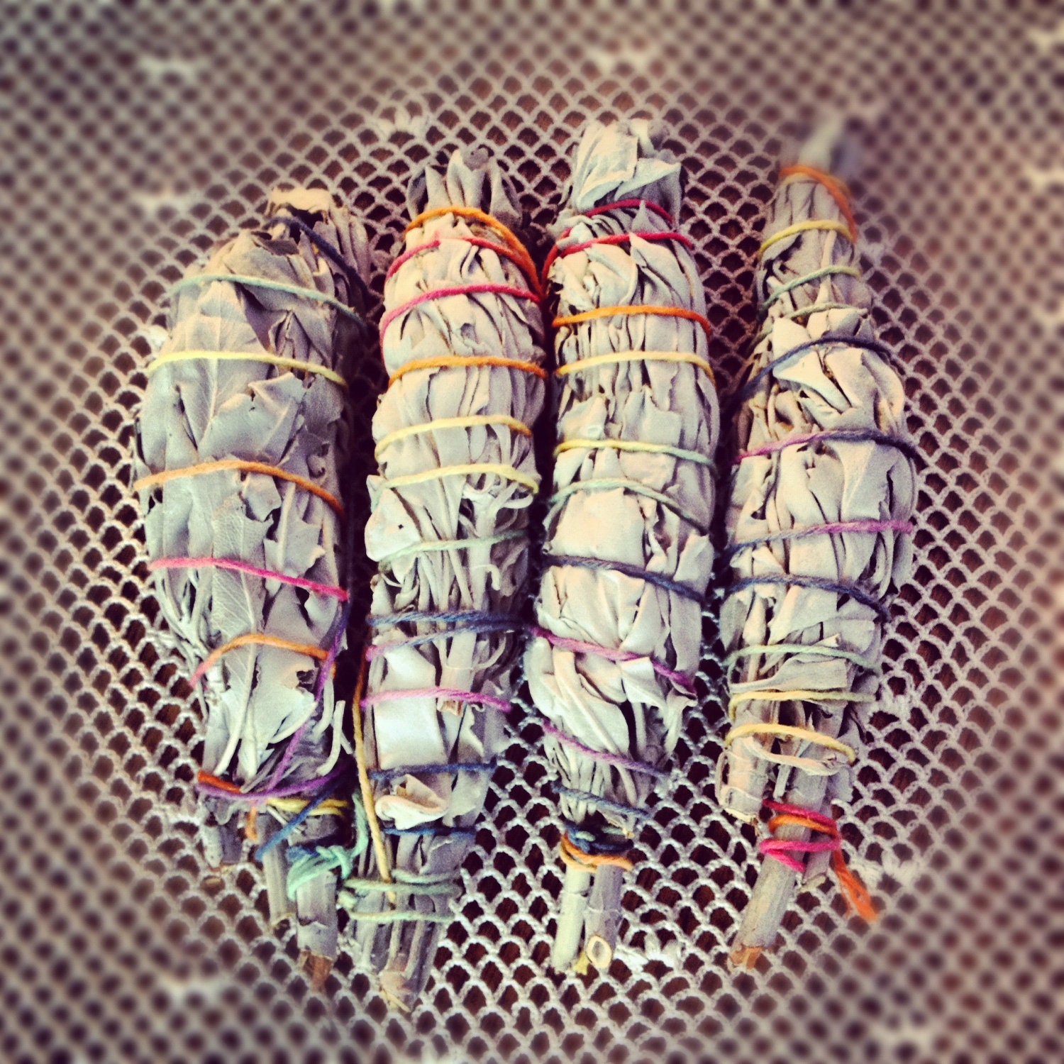 Organic White Sage Bundle from the Central California Coast