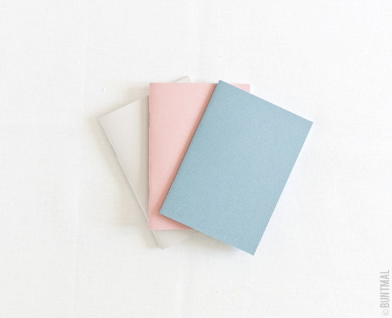 Pastel set of beige, blue and rose notebooks (journals)