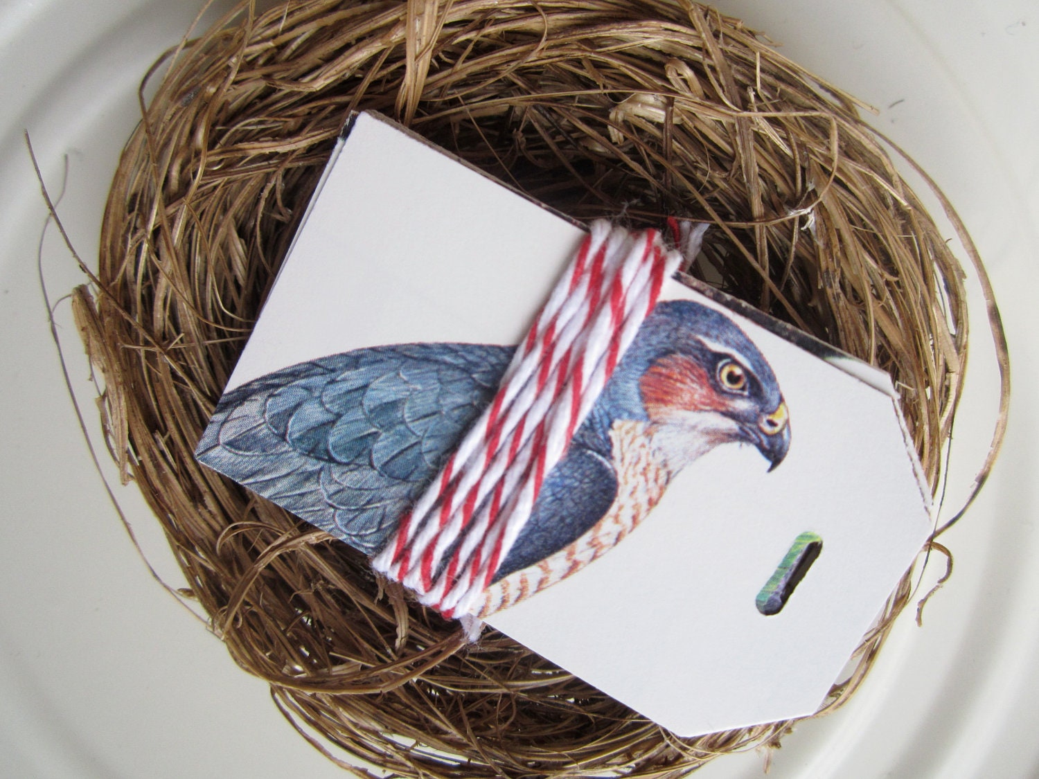 Bird Tags, Set of 25, Vintage Bird Book Tags, Woodland Wedding, Flock of Birds, Wish Tags, Bird Theme, Bird Favors, Eco Friendly