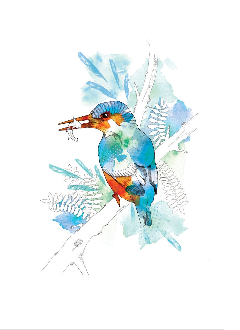 Watercolour Kingfisher // A4  // 8x11 Print