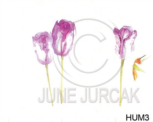 Watercolor Humming Bird and Tulips Greeting Card - Painting by June Jurcak