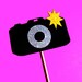 Photo Booth Props - Camera on a stick - GLITTER Photobooth Prop - Great for weddings, birthdays, parties