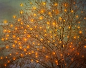 25% Off SALE Magical 02 16x24 Nature Photograph fine art. surreal large size wall art. tree branches twinkle lights yellow orange