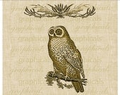 Vintage brown owl with wheat grass banner  Digital download image for transfer to fabric burlap papercraft, tote bags, cards, tags No. 324