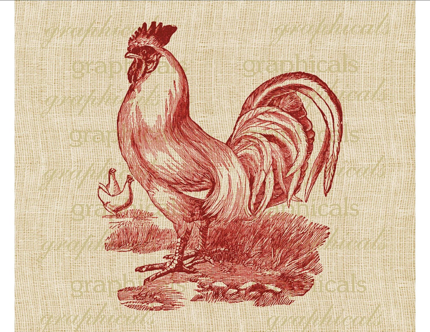 Vintage print red rooster chicken farm animal Digital download image for fabric transfer burlap decoupage paper tote bags pillows No. 449