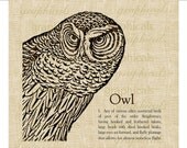 Vintage brown owl definition Digital download graphic image for Iron on fabric transfer burlap decoupage cards pillows tote bags No. 1741