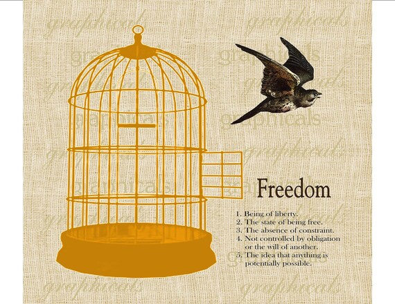 Orange birdcage Bird Freedom definition Digital download graphic image for Iron on fabric transfer burlap decoupage pillows No. 1742