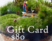 Gift Certificate - Pink Serissa Terrariums - Air Plants - Marimo Moss Ball Aquariums -  Moss Terrariums