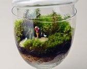 Moss Terrarium // Little People with geese // Woodland Lovers 2 // Apothecary Jar //  Home and Living // Indoor Garden
