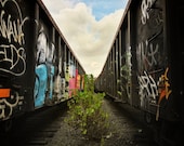 A tree grows on the tracks between freight trains in Queens NY