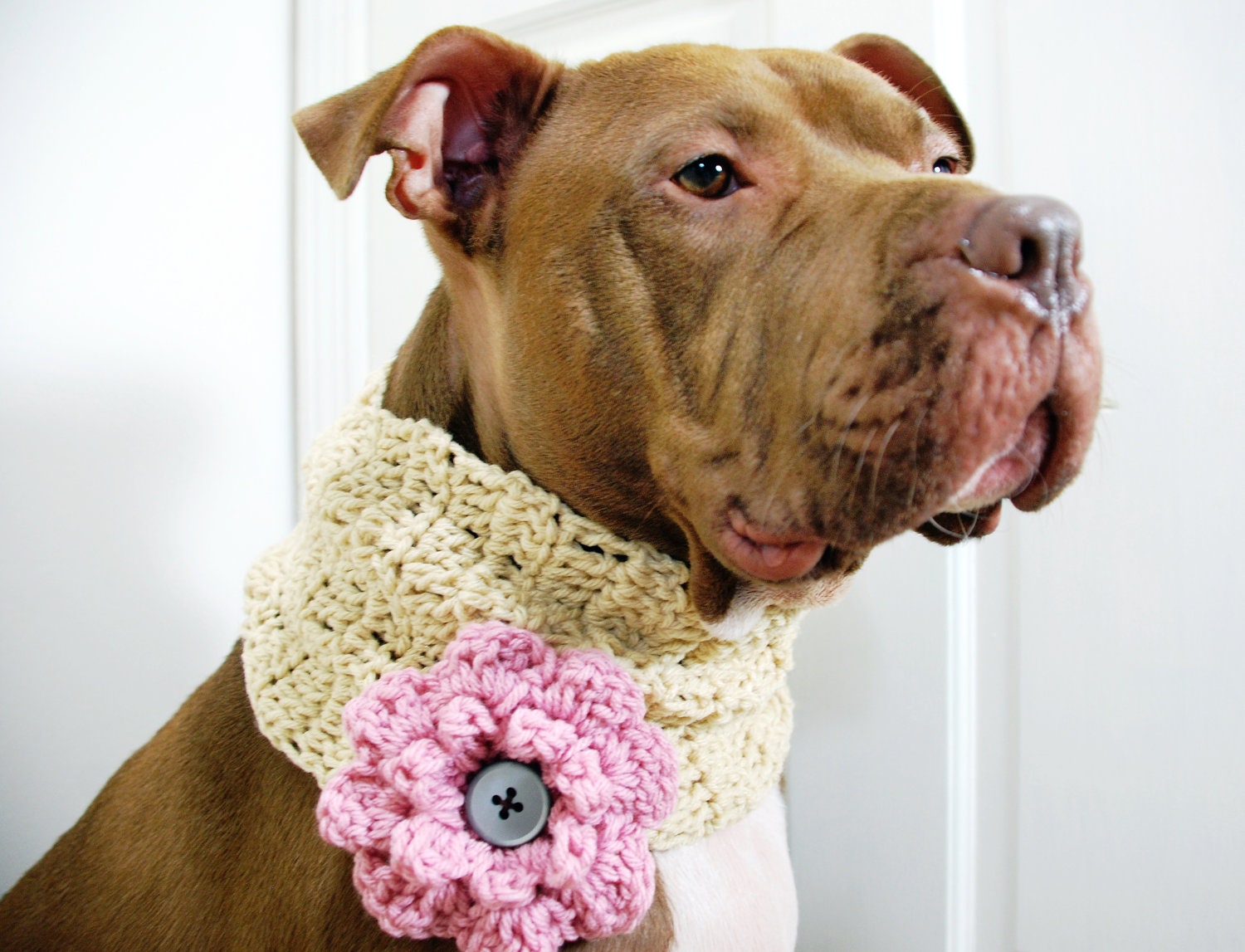 Dog Cowl Beige with Pink Flower Crochet Large Breed