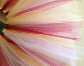 Washington Redskins - White, Maroon and Gold with added Sparkle and Shimmer Tulle, Standard Size TeamTuTu