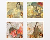 Cottage Chic Color Photography Set 8x8 - French Country - Orchid Flower Botanical Art - girly pretty mothers day