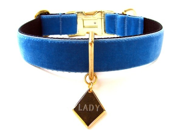 Custom Blue Velvet Dog Collar 1"