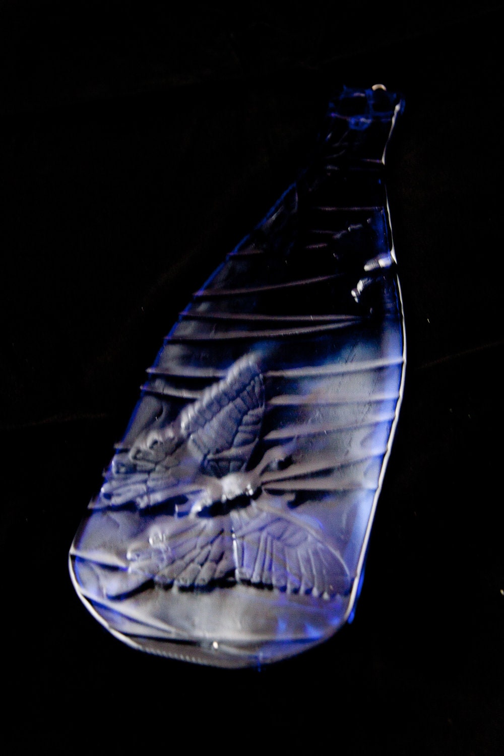 Butterflies in a Melted Wine Bottle