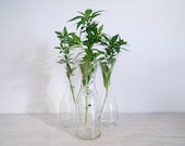 vintage tall vases or decanters