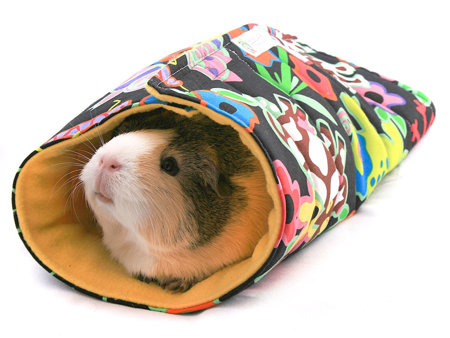 Warm Guinea Pig Roll-ups