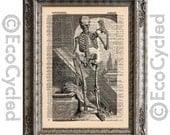 Antique Human Skeleton 3 Illustration on Vintage Upcycled Dictionary Page Book Art Print Recycled