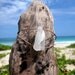 Hawaiian Unique & RARE Large Clear Bonfire Beach Glass, Naturally Folded, on India Leather Cord Bracelet