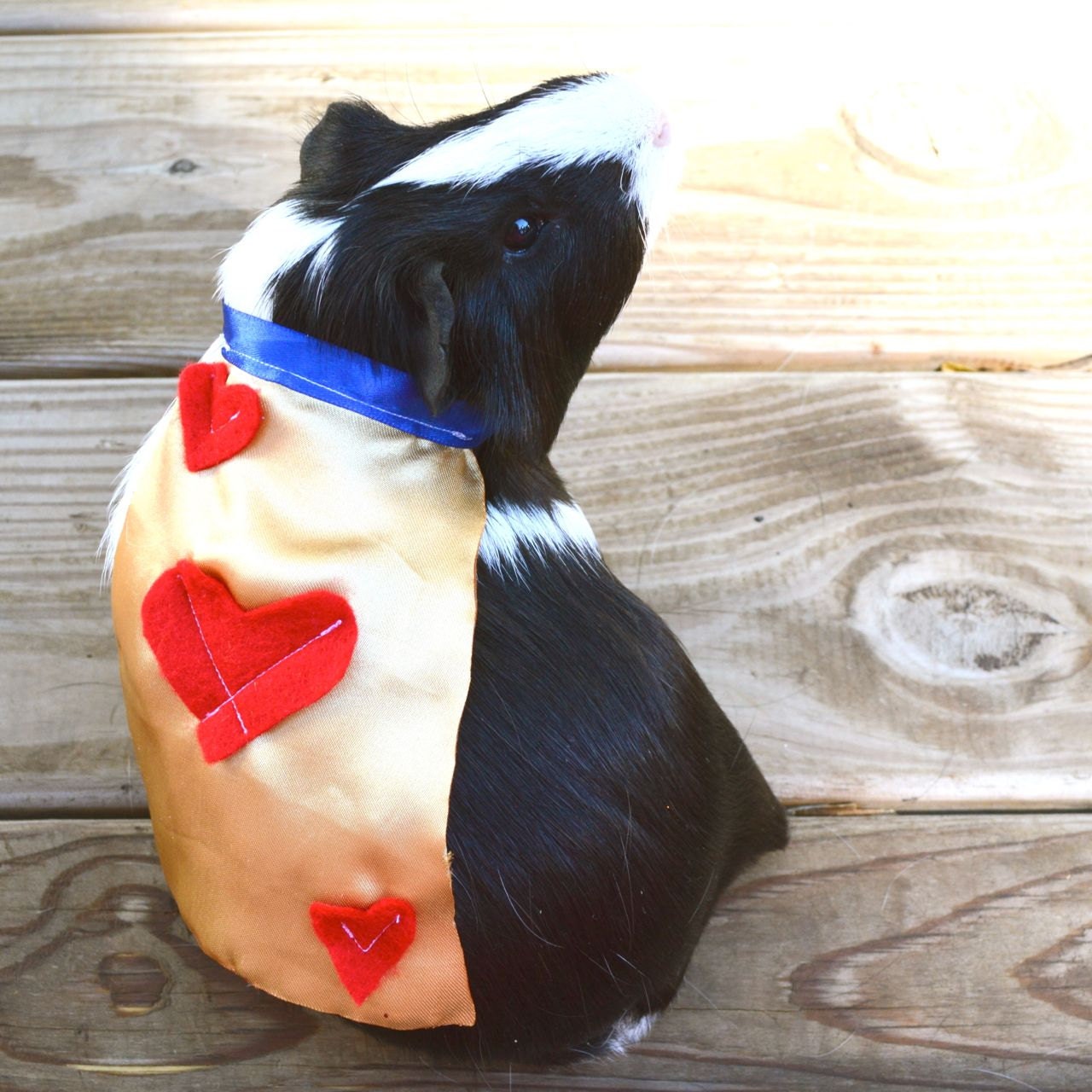 Guinea pig White Rabbit costume. Alice in Wonderland Pet Halloween costumes by la Marmota Café.