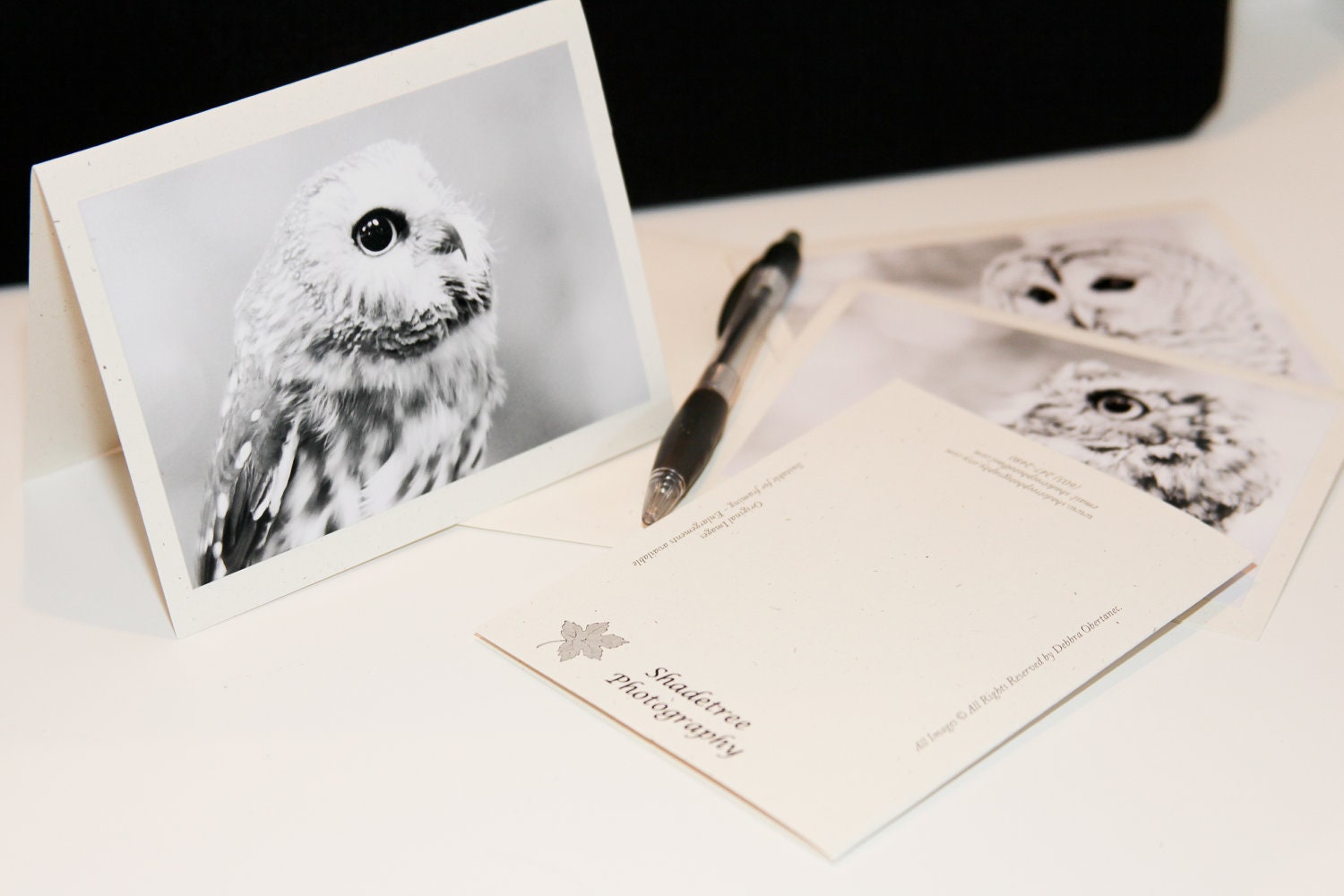 Owl Collection Nature Photography Wildlife Bird Photo Black White Set of Blank Notecards Gift for Him Her, 4 Blank Fine Art Notecards