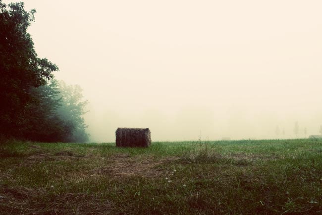 Fall harvest photograph bale hay in a white and green misty morning farm field, 8x12 fine art