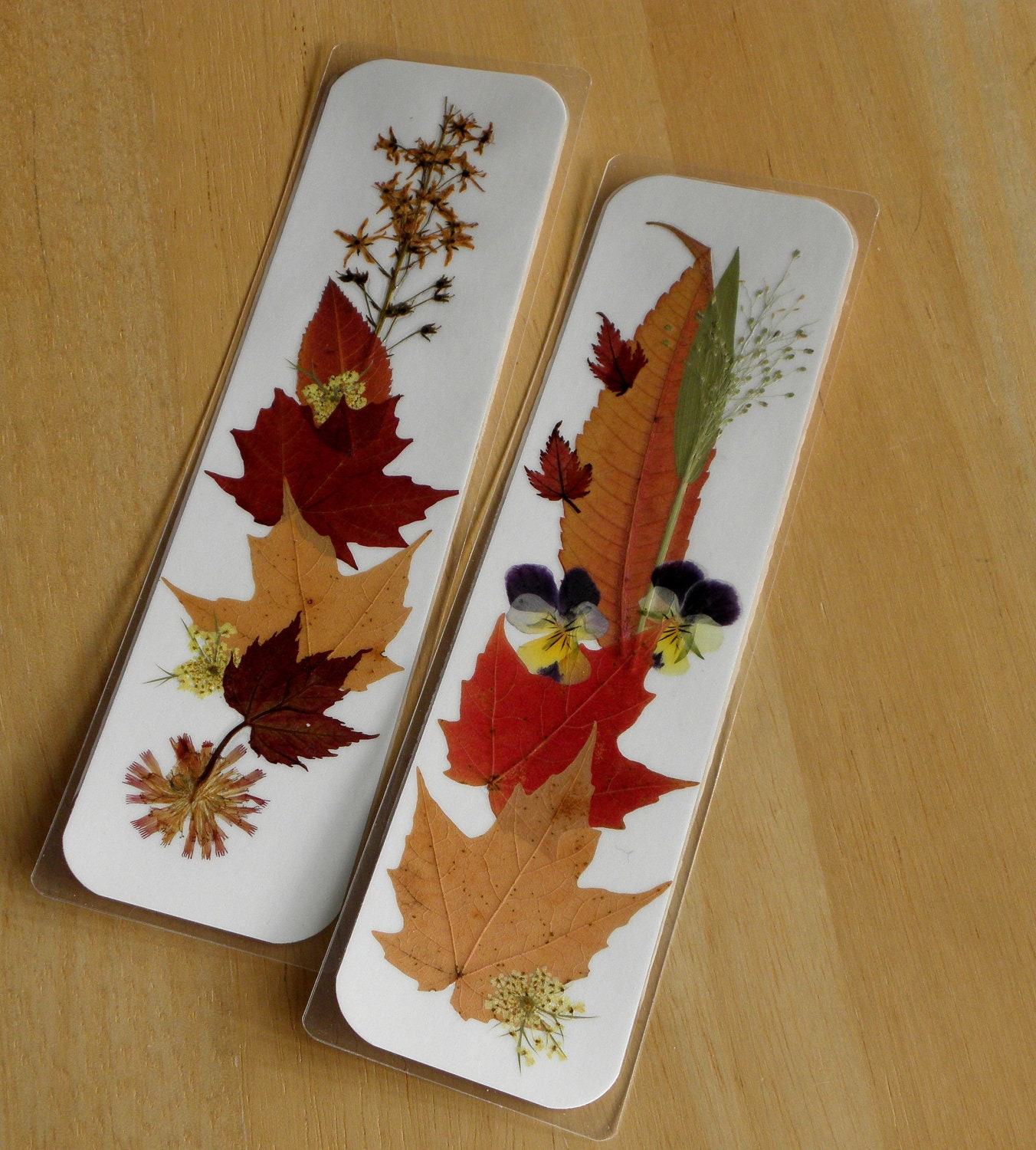 Pressed flower bookmarks Flower bookmark, Pressed flower