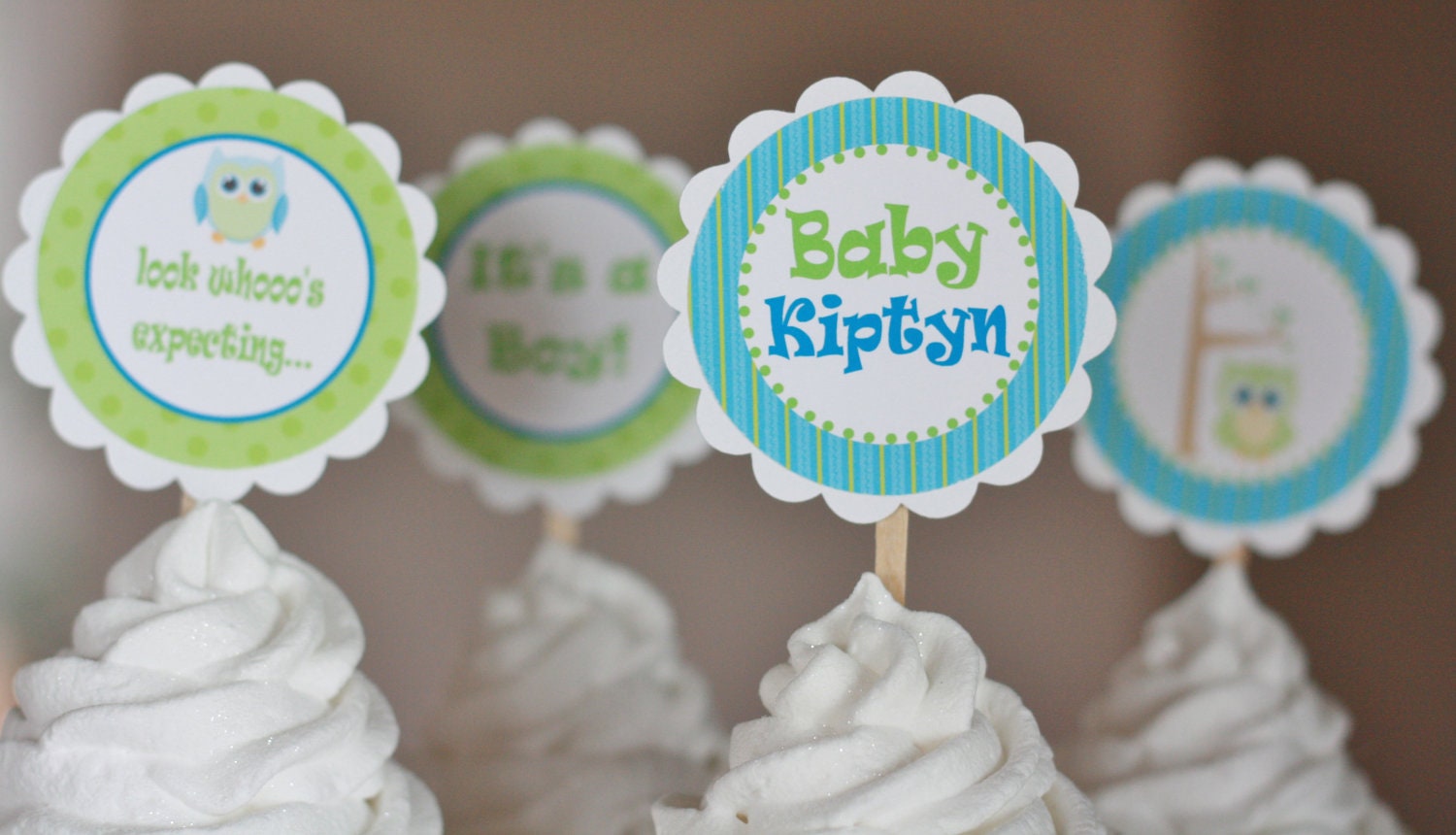 12 Baby Shower Blue Green or Pink Green Owl Theme Cupcake or Cake Toppers - Choose Boy or Girl Theme - Free Ship Over 40.00