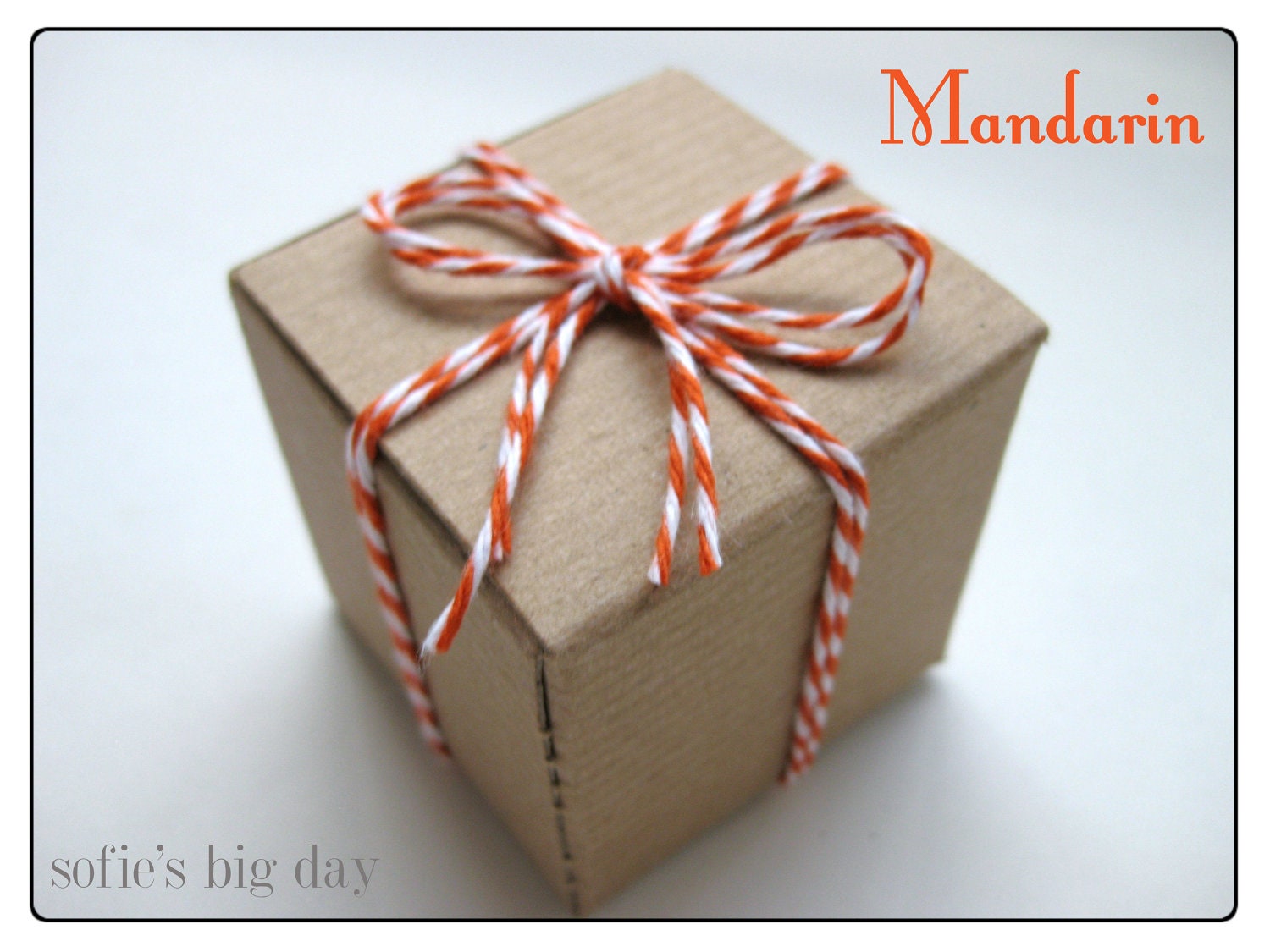 ORANGE TWINE - orange string- Mandarin Orange Twine from the Twinery- packaging supplies- cotton twine-25 yards Il_570xn
