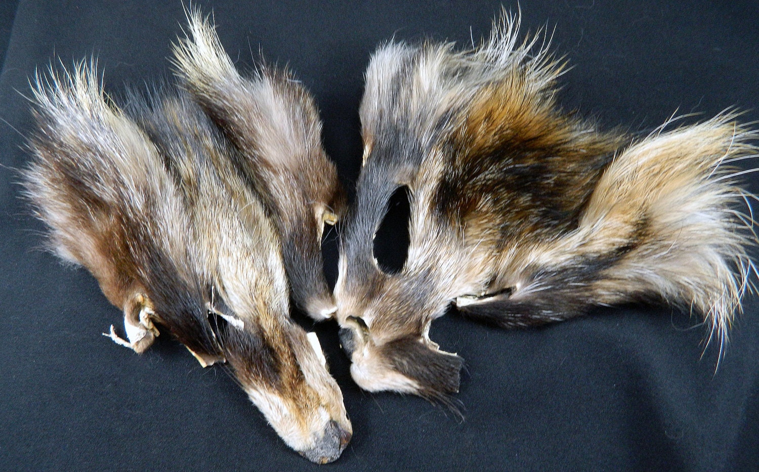 FINN RACCOON Fur Faces Pair Arctic Store Arktika Russia
