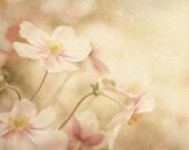 Pink Shabby Chic Wall Decor 8x10, Flower Print, Floral Nursery Decor, Dreamy Rose Smoke Nature Photography, Feminine Cottage Wall Art