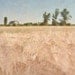 Wheat Field 8x10 Photo, Country Farm, Rustic Barn Print, Fall Harvest Picture, Autumn Grain Photography, Blue, Tan, Green Decor