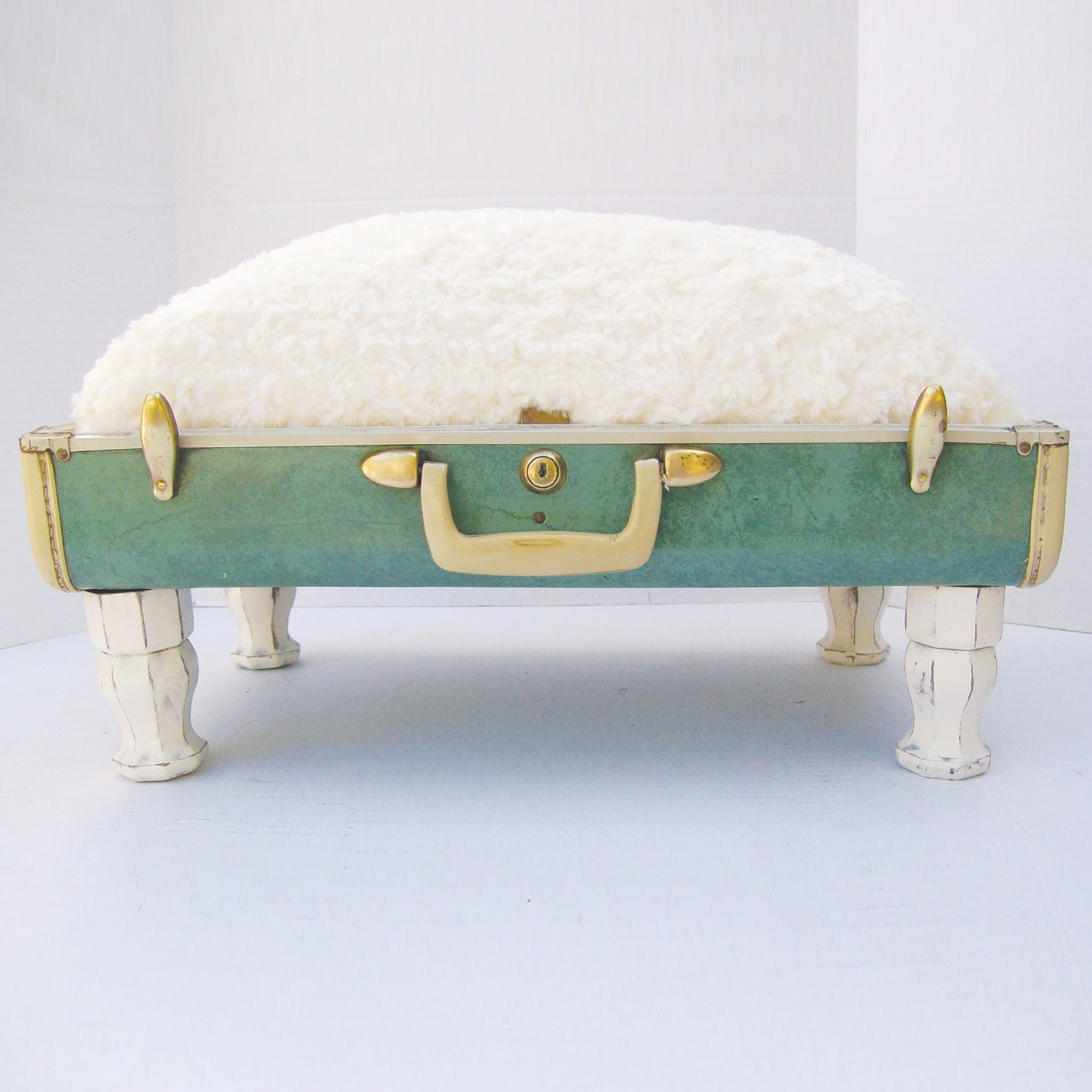 RESERVED FOR OLIVIA - Pet Bed from Vintage 40s Suitcase - Seafoam Green Samsonite with Cream Minky Swirl fur-like Fabric