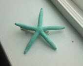 Mint colored petite pencil starfish hair clip