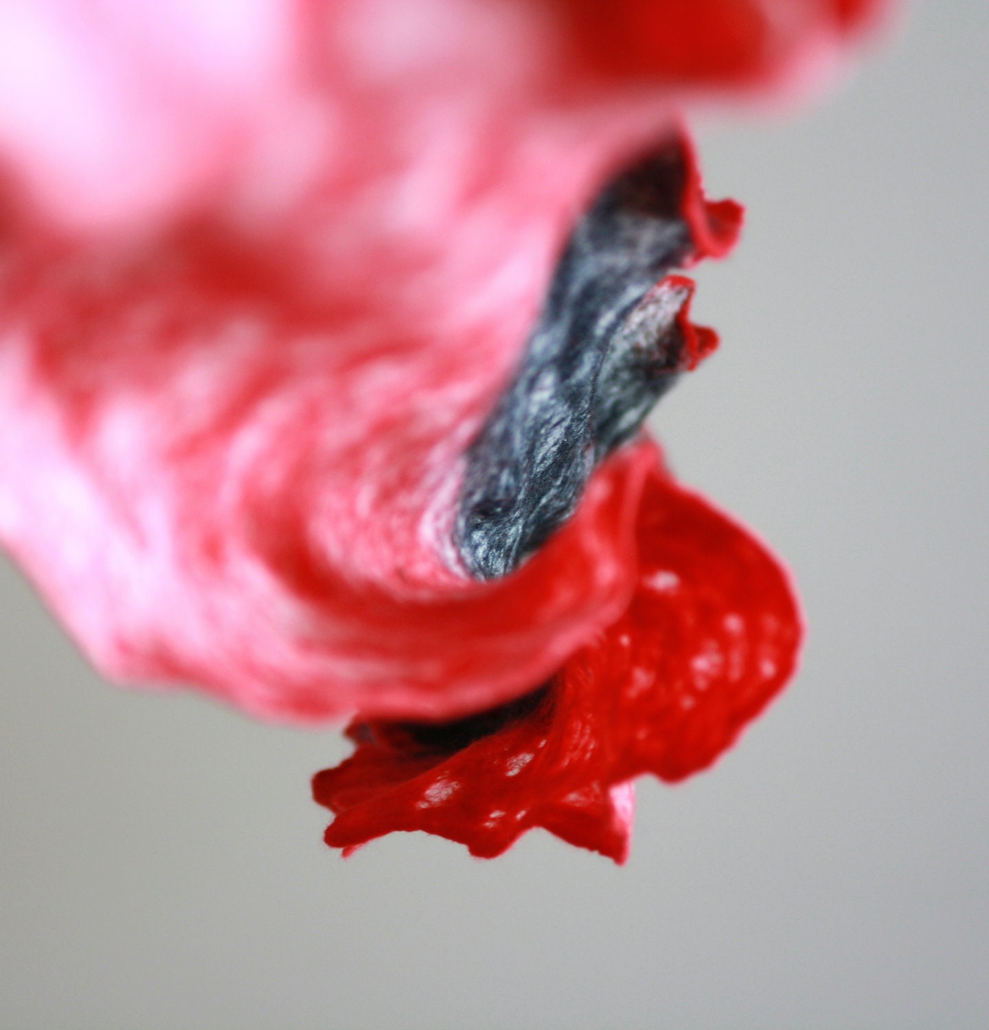 Wool and silk scarf - felted red and black scarf - cobweb wet felted scarf - spring scarf made to order