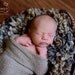 Loopy Scarf Photo Prop, newborn basket stuffer, loopy blanket