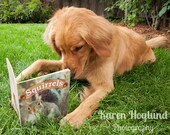Golden retriever birthday cards - set of 5