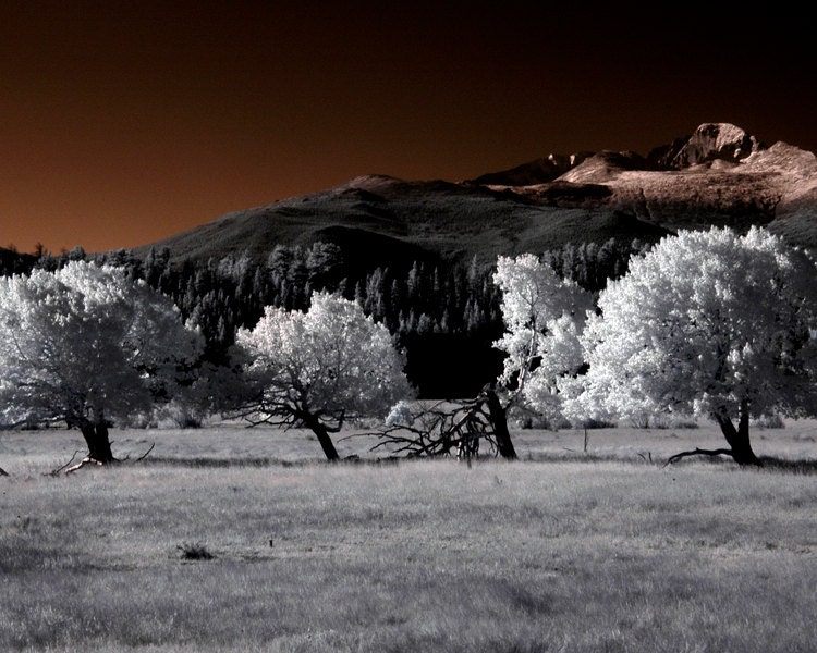 Rocky Mountain National Park sepia color infrared Colorado landscape photograph print 8x10