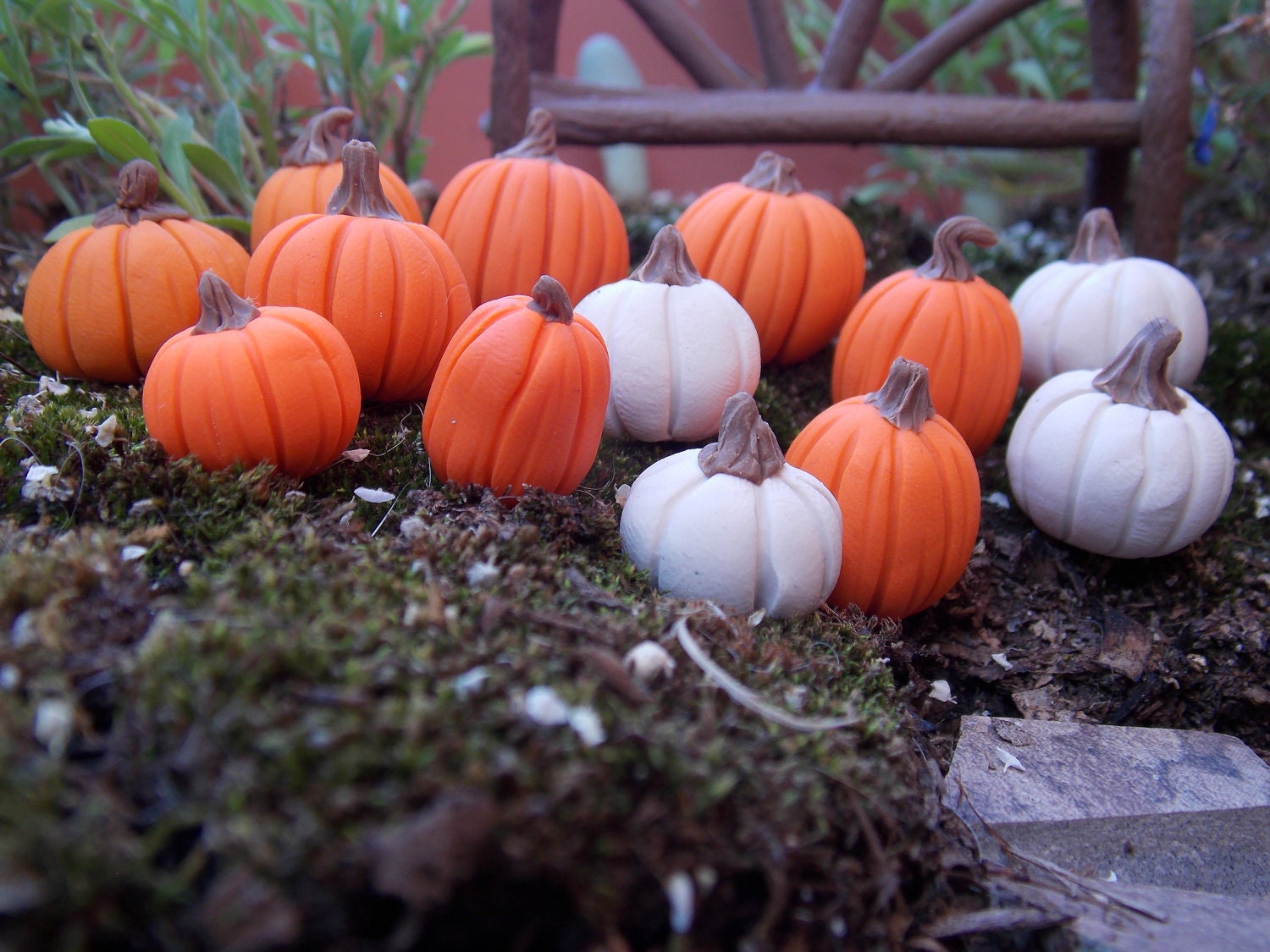 9 Fall miniature pumpkins in orange and white